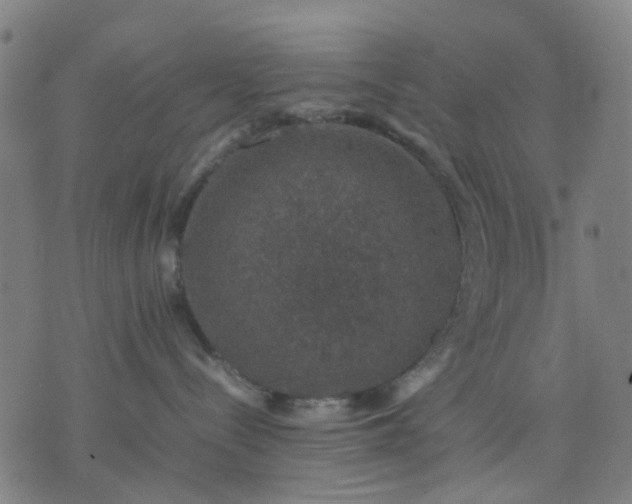 X0000074230288200609081629