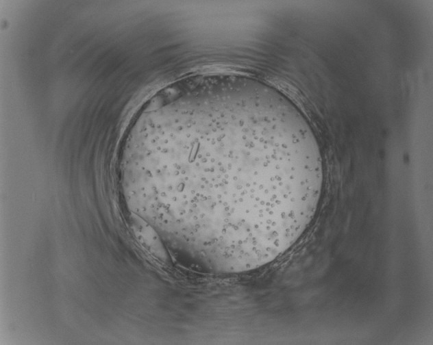 X0000074230289200609081628