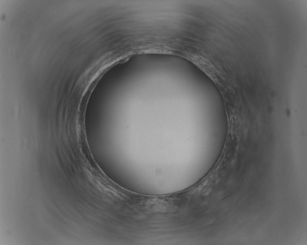 X0000074230290200609081628