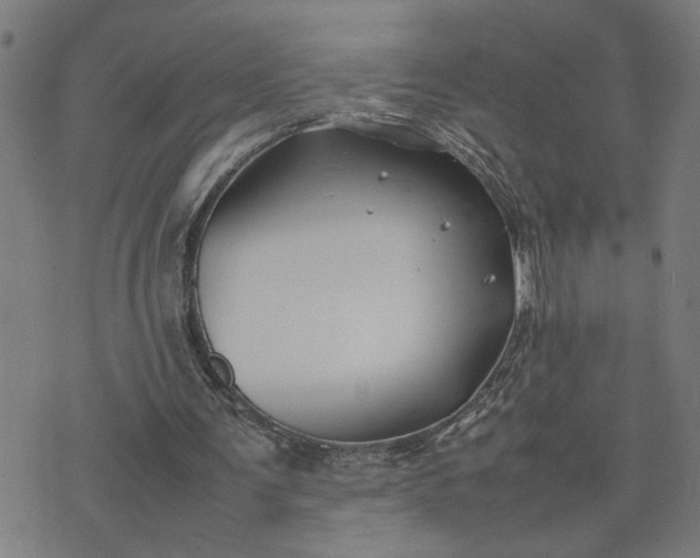 X0000074230291200609081628