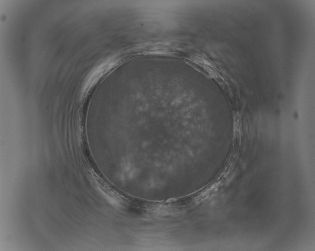 X0000074230293200609081628