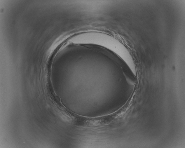 X0000074230295200609081628