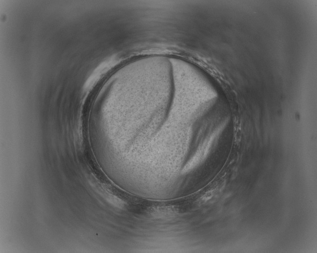 X0000074230296200609081628