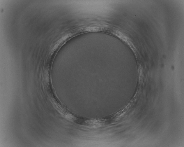 X0000074230297200609081628