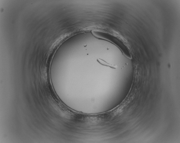 X0000074230298200609081628