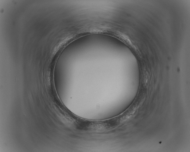 X0000074230299200609081628