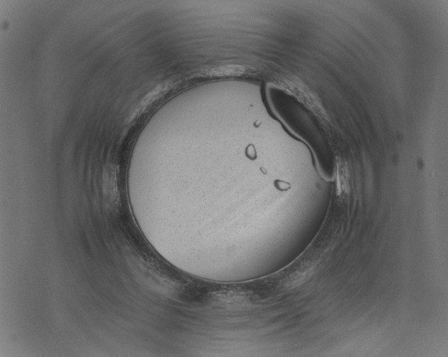 X0000074230300200609081628