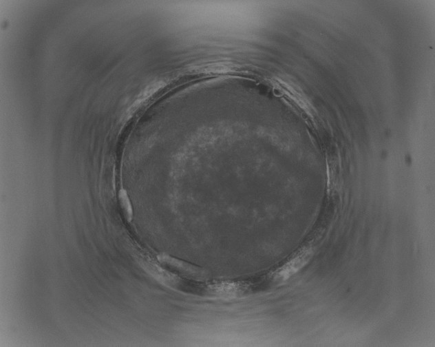 X0000074230301200609081628