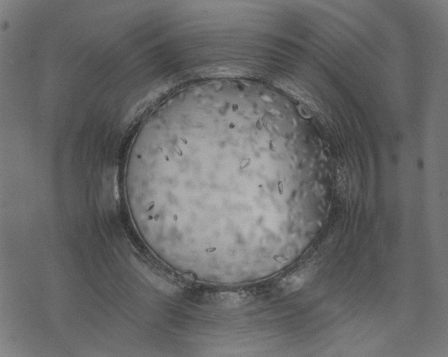 X0000074230302200609081628