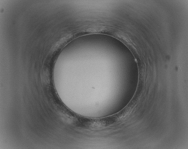 X0000074230303200609081628