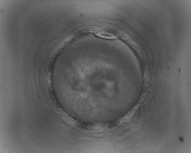 X0000074230305200609081628