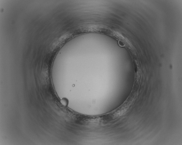 X0000074230306200609081628