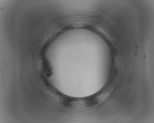 X0000074230307200609081628