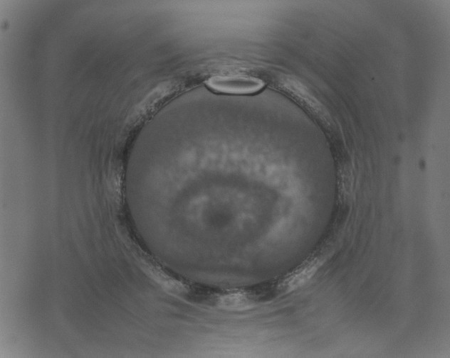 X0000074230309200609081628