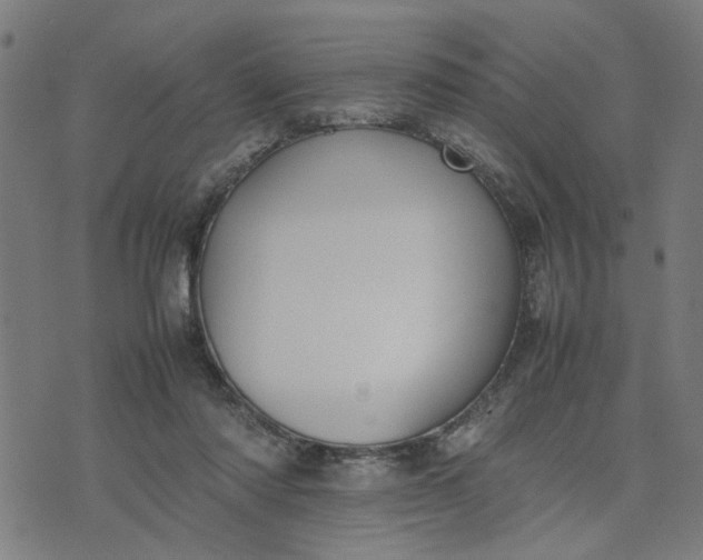 X0000074230310200609081627