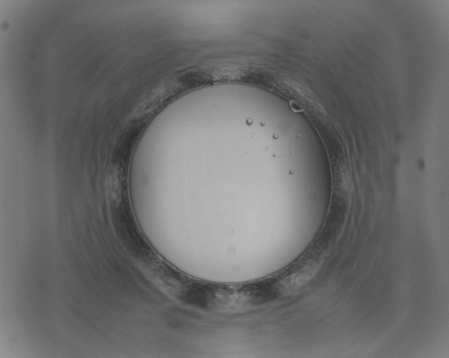 X0000074230311200609081627