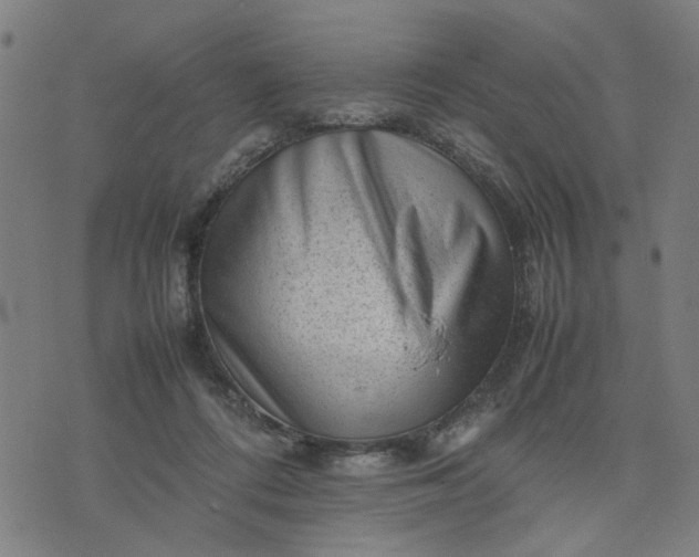 X0000074230312200609081627