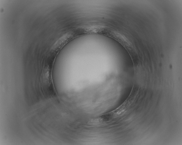 X0000074230314200609081627