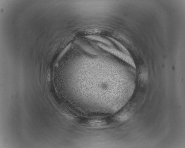 X0000074230315200609081627