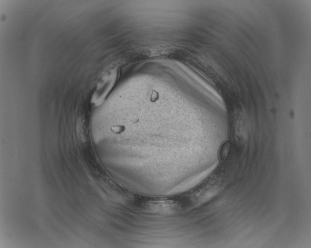 X0000074230316200609081627