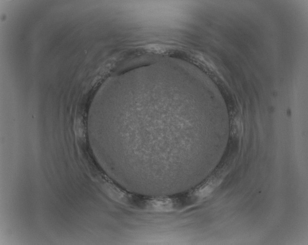 X0000074230317200609081627