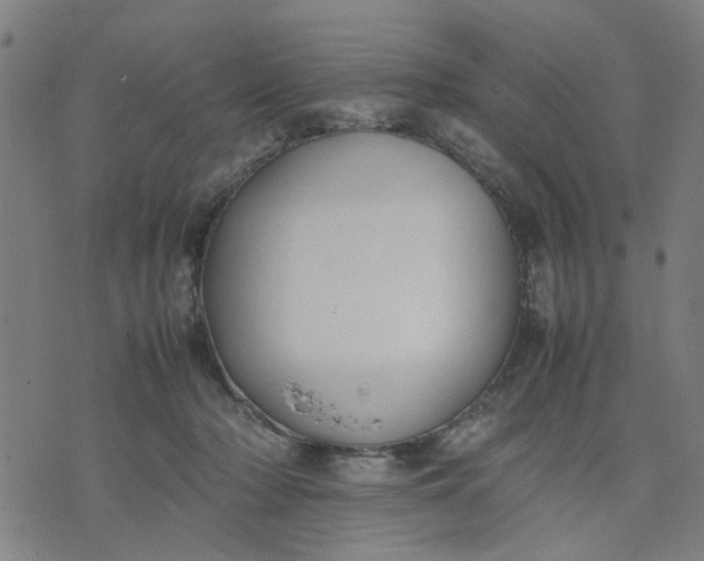 X0000074230318200609081627