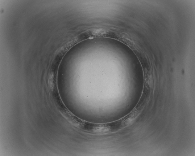 X0000074230319200609081627