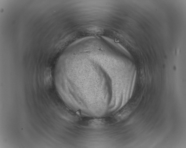 X0000074230320200609081627