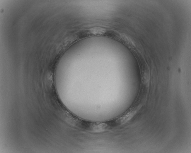 X0000074230321200609081627