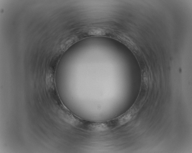 X0000074230322200609081627