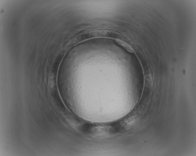 X0000074230323200609081627