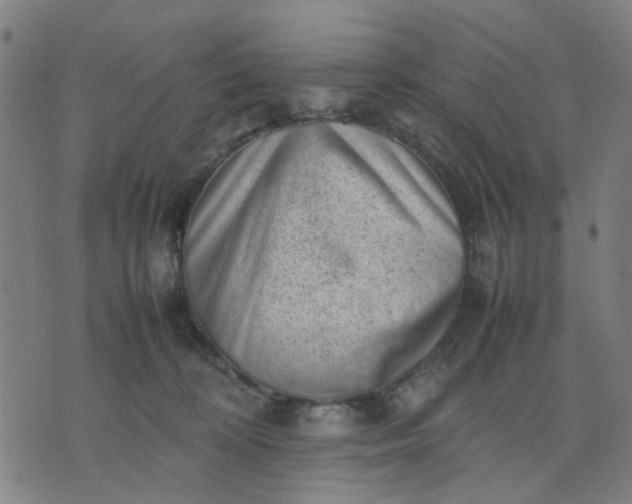 X0000074230324200609081627