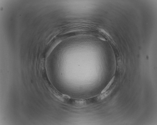 X0000074230325200609081627