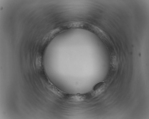 X0000074230326200609081627