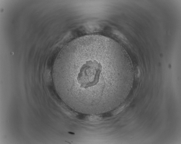 X0000074230327200609081627