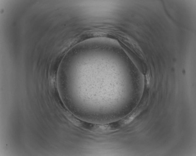 X0000074230329200609081627