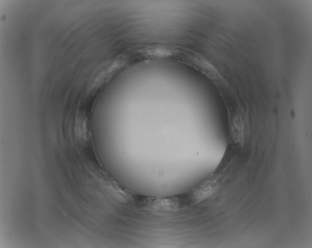 X0000074230330200609081627