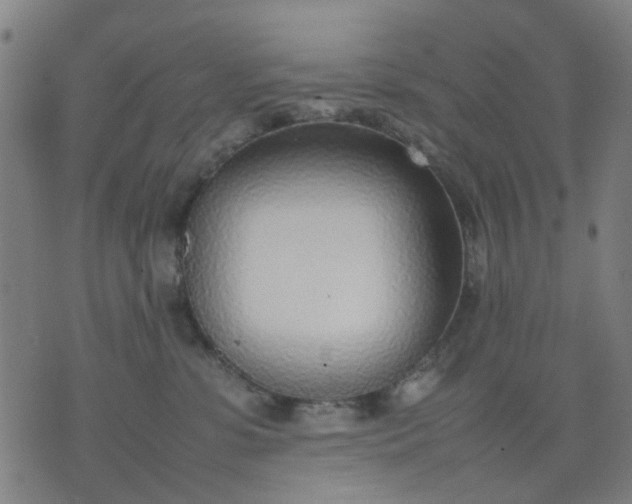 X0000074230331200609081627