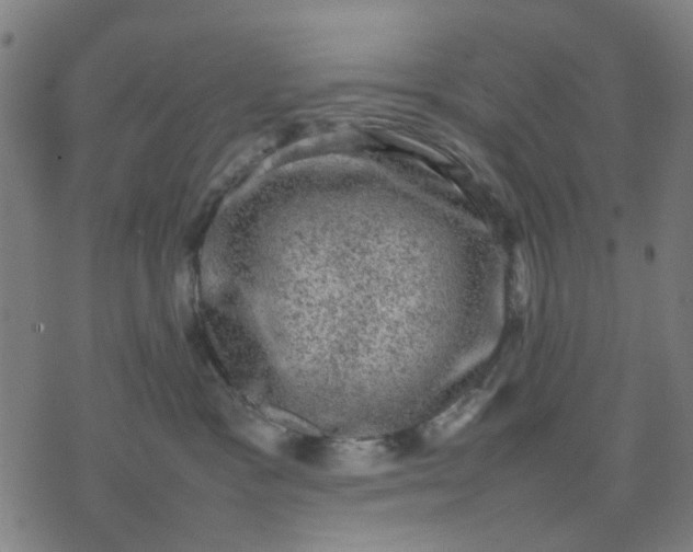 X0000074230333200609081627