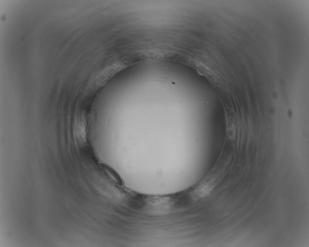 X0000074230334200609081627