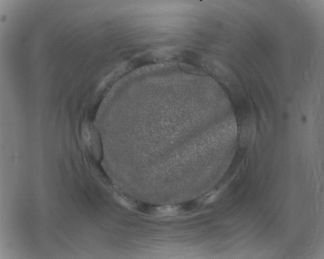 X0000074230335200609081627