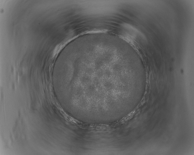 X0000074230337200609081626