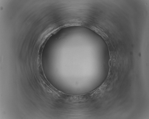 X0000074230338200609081626