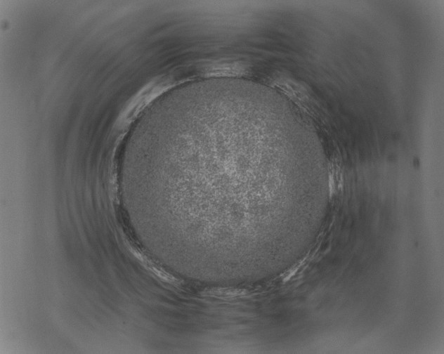 X0000074230339200609081626