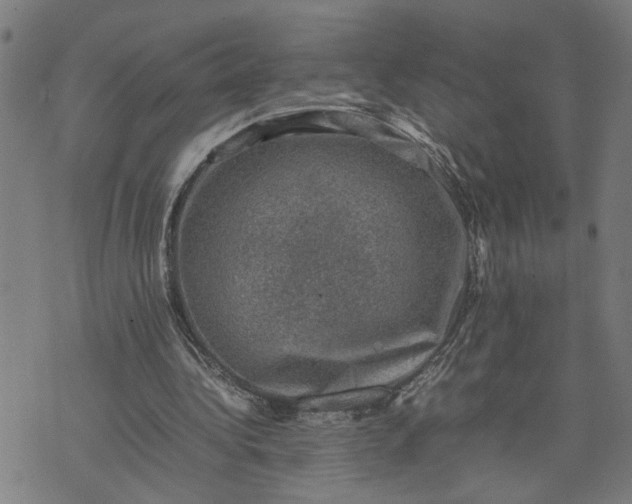 X0000074230340200609081626