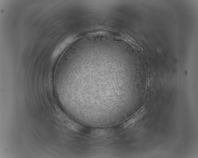 X0000074230341200609081626