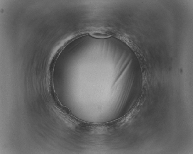 X0000074230342200609081626