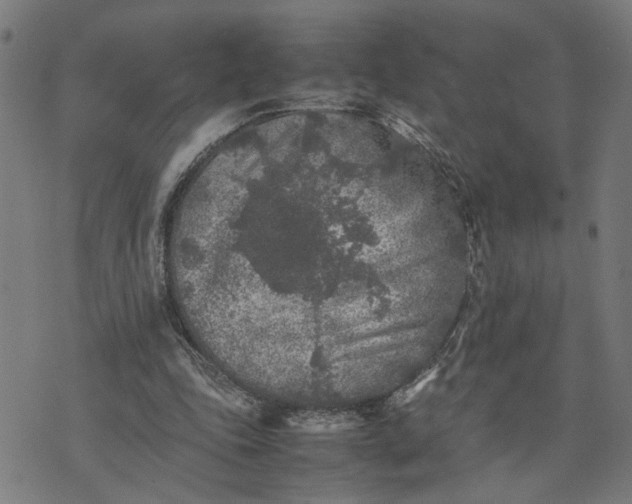 X0000074230343200609081626