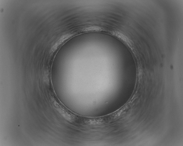 X0000074230345200609081626