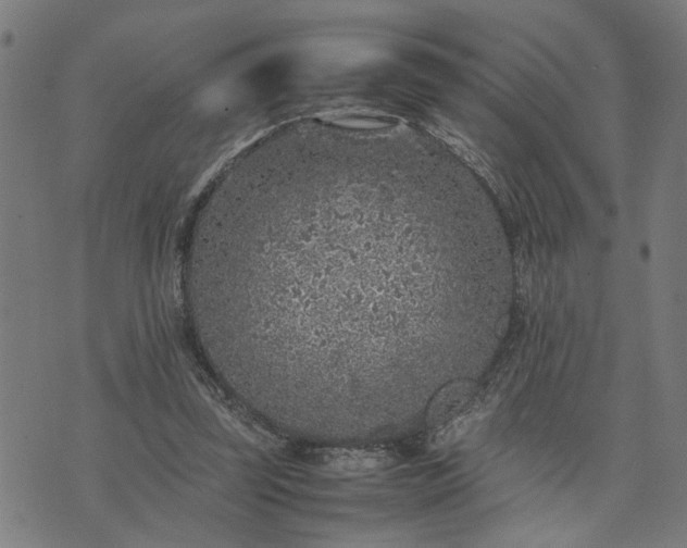 X0000074230347200609081626